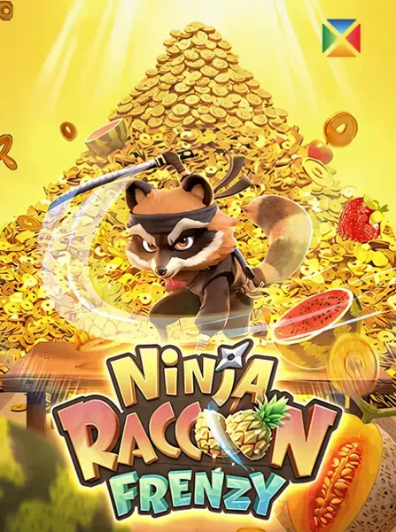 Ninja Racoon Frenzy