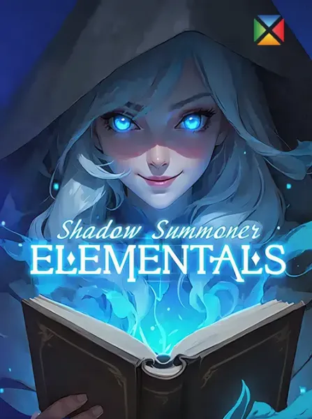 Shadow Summoner Elementals